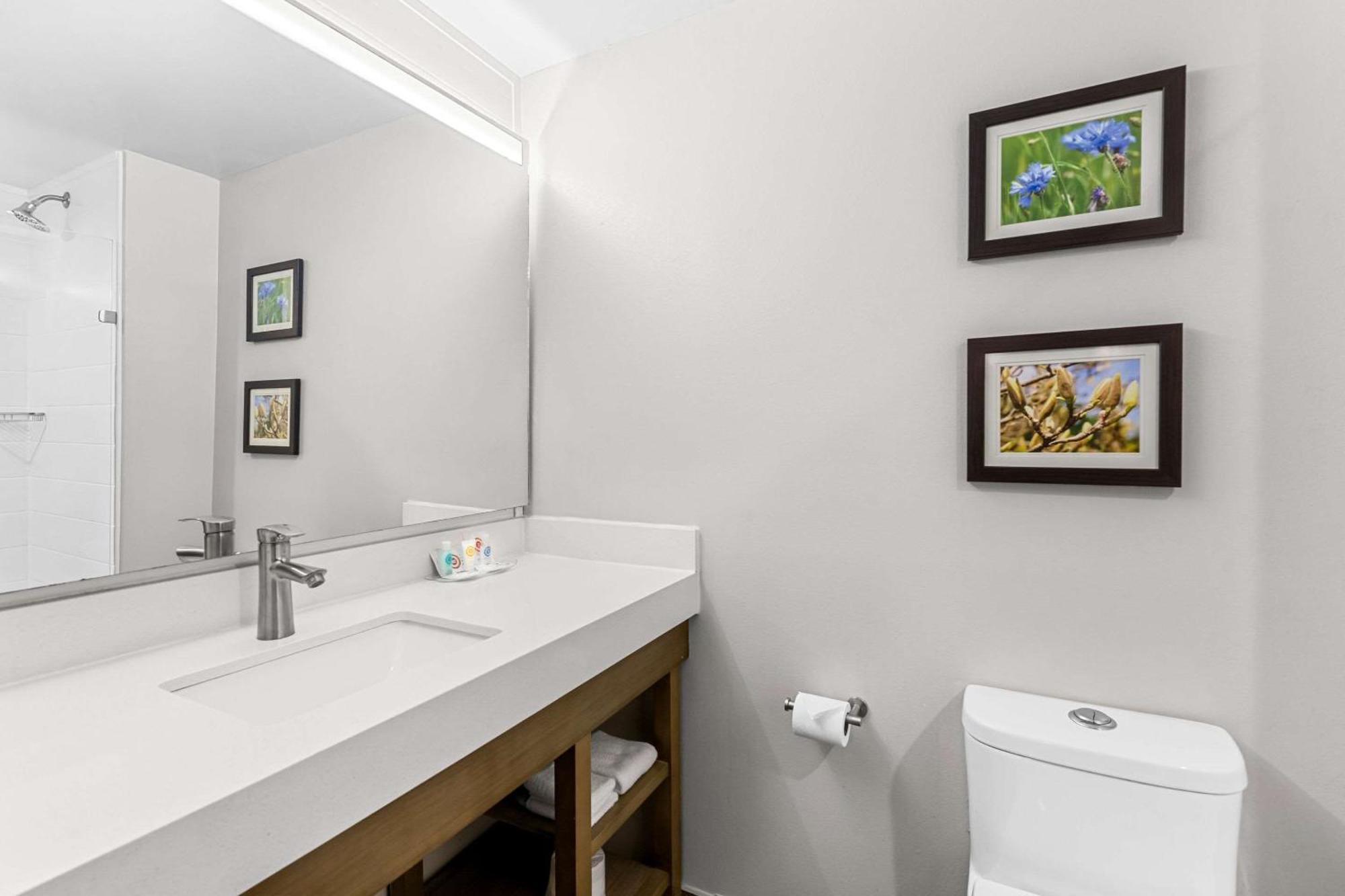 Comfort Suites Columbia Eksteriør bilde